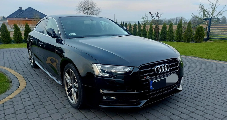 Audi A5 cena 59500 przebieg: 215000, rok produkcji 2015 z Toruń małe 67